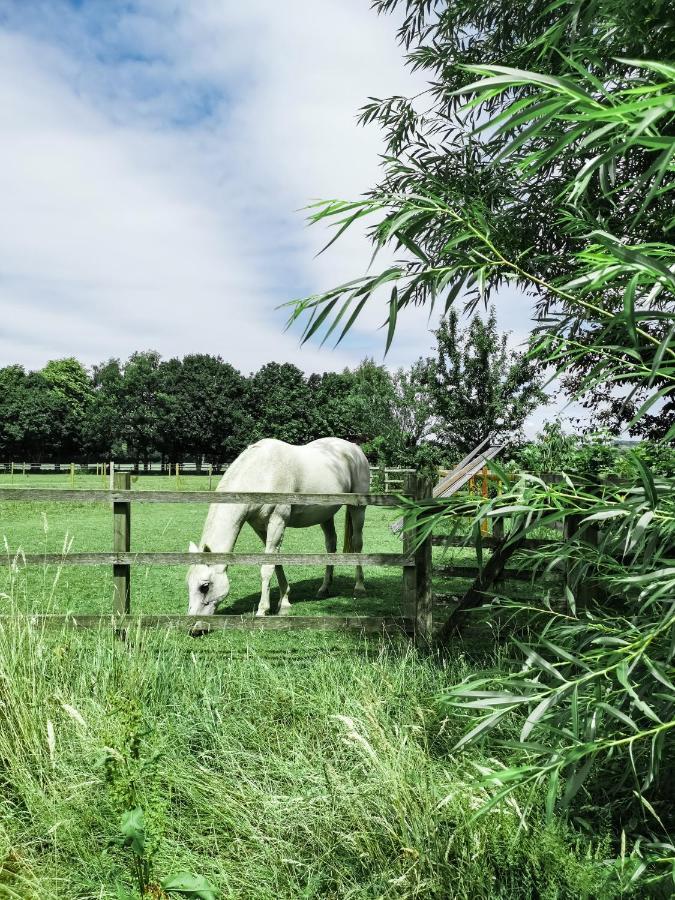 Holiday home Chichester *